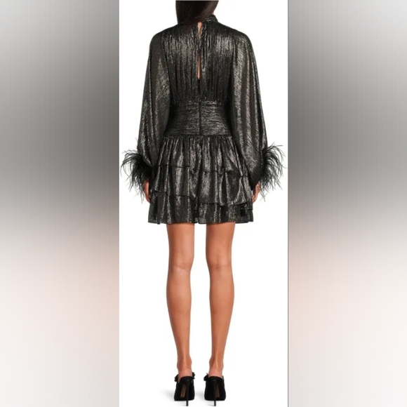 A Loves A Chiffon Feather Trim Ruched Mock Neck Long Sleeve Fit and Flare Dress - Picture 3 of 12